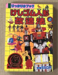 けしゴム人形改造法　ぴっかぴかブック