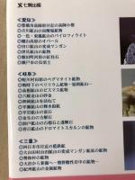 東海　鉱物採集　ガイドブック