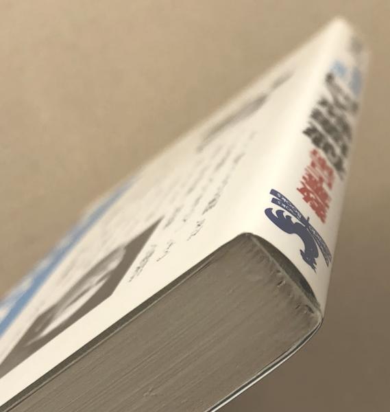 破壊数入門(田上晃彩) / 古本、中古本、古書籍の通販は「日本の古本屋