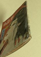 小説の華　大衆娯楽雑誌　愛欲実話探訪読物号　