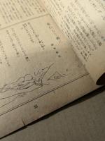 官能　創刊特別号　(昭和23年７月)