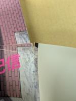 Saki Takaoka + Kishin Shinoyama  Accidents Series 11 (高岡早紀 + 篠山紀信　写真集)