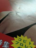 女子プロレス　32　'77 第3回ワールド・リーグ特集　パンフレット　