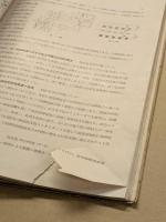 年報　日本テレビジョン学会　昭和9年版