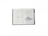 Handbuch Der Fischzucht Und Fischerei