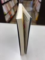 難問克服　ルベーグ積分