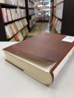 日本の児童虐待防止・法的対応資料集成　児童虐待に関する法令・判例・法学研究の動向