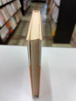 解析入門 : 基礎課程