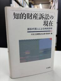 知的財産訴訟の現在 : 訴訟代理人による判例評釈
