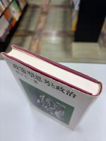 政策型思考と政治