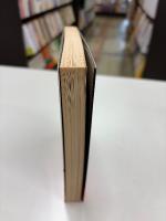 やくざと抗争 疾風篇