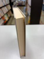 詩的想像力 