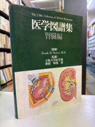 医学図譜集　腎臓編