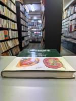 医学図譜集　腎臓編