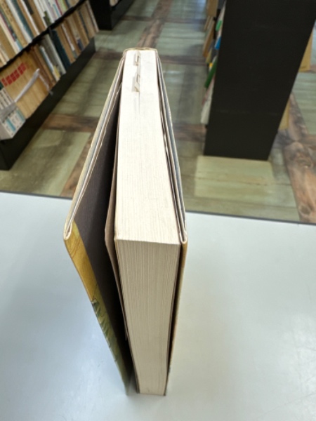 渋染一揆・美作血税一揆の周辺 : ある墓碑銘への注(岩間一雄 著