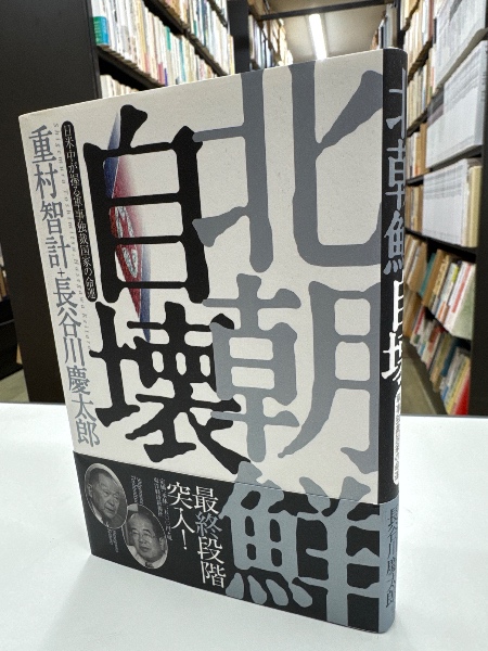 ロロ・メイの新・カウンセリングの技術(R.メイ 著 ; 黒川昭登 訳