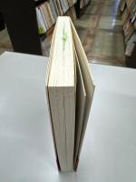 21世紀への橋と扉 : 展開するジンメル社会学