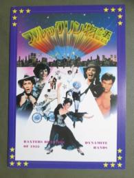 映画パンフレット　ブルックリン物語