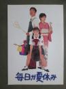 映画パンフレット　毎日が夏休み