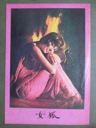 映画パンフレット　女狐