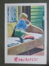 映画パンフレット　愛すれど心さびしく