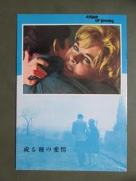 映画パンフレット　或る種の愛情