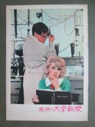 映画パンフレット　底抜け大学教授