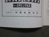 映画パンフレット　雨の中の兵隊