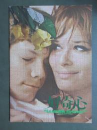 映画パンフレット　好奇心