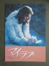 映画パンフレット　マイ・ラブ