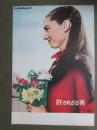 映画パンフレット　許されざる者