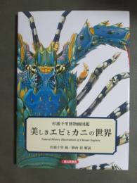 杉浦千里博物画図鑑　美しきエビとカニの世界