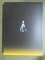 図録　中国☆美の十字路展