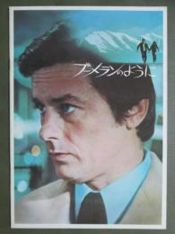 映画パンフレット　ブーメランのように