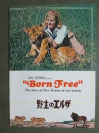 映画パンフレット　野生のエルザ