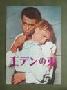 映画パンフレット　エデンの東