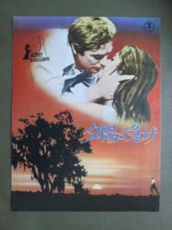 映画パンフレット　夕陽よ急げ