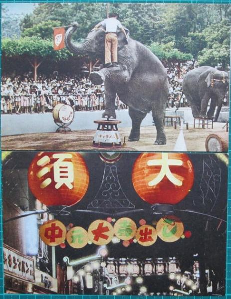 絵葉書 名古屋 東山動物園/大須 2枚(-) / 神無月書店 / 古本、中古本