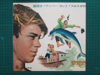 映画プレスシート　頑張れフリッパー