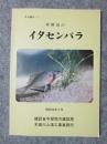 木曽川のイタセンパラ