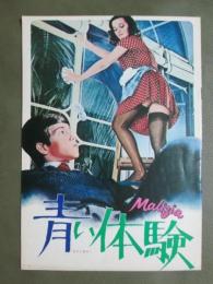 映画パンフレット　青い体験