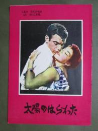 映画パンフレット　太陽のはらわた