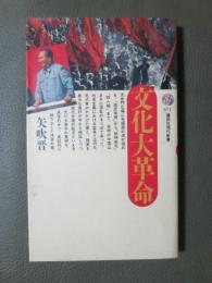 文化大革命