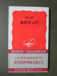 新哲学入門