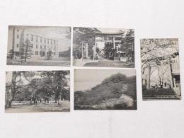 1000015■戦前 絵葉書■敦賀名所 爛漫桜の金ヶ崎宮　庁舎　気比神宮 松原公園　他 5枚