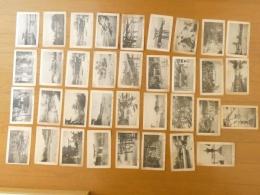 1000023■戦前 絵葉書■広島県　安藝厳島 安藝市街 五重塔　 厳島神社 大鳥居 浦神社 35枚　1枚少穴あり