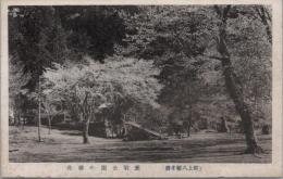 1000035■戦前 絵葉書■岐阜県 郡上八幡名勝 愛宕公園の桜花