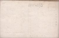 1000035■戦前 絵葉書■岐阜県 郡上八幡名勝 愛宕公園の桜花