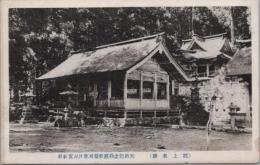 1000038■戦前 絵葉書■岐阜県 郡上名物　天然記念物鰻郡楼地粥川星宮神社