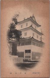 1000057■戦前 絵葉書■水戸名所 水戸城趾 ヤケ